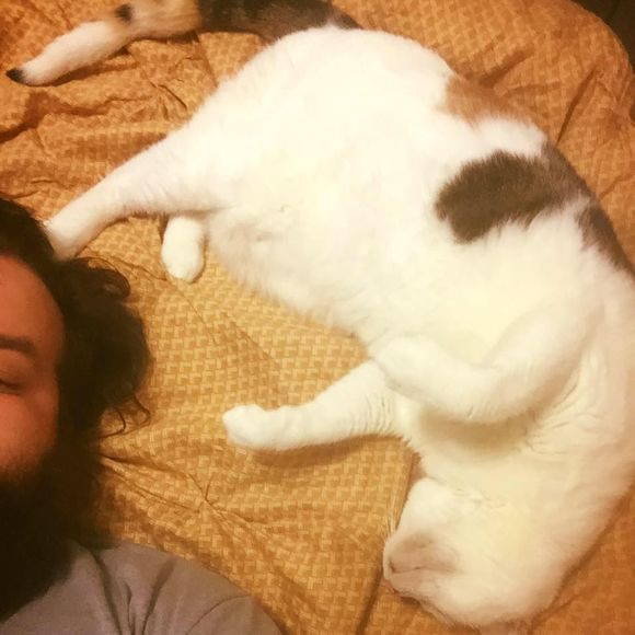 Meet your Posher, David - Picture 1 of 1